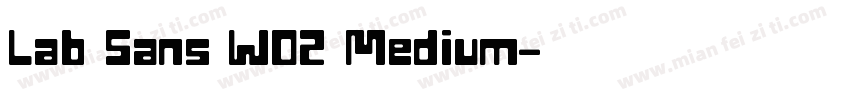 Lab Sans W02 Medium字体转换